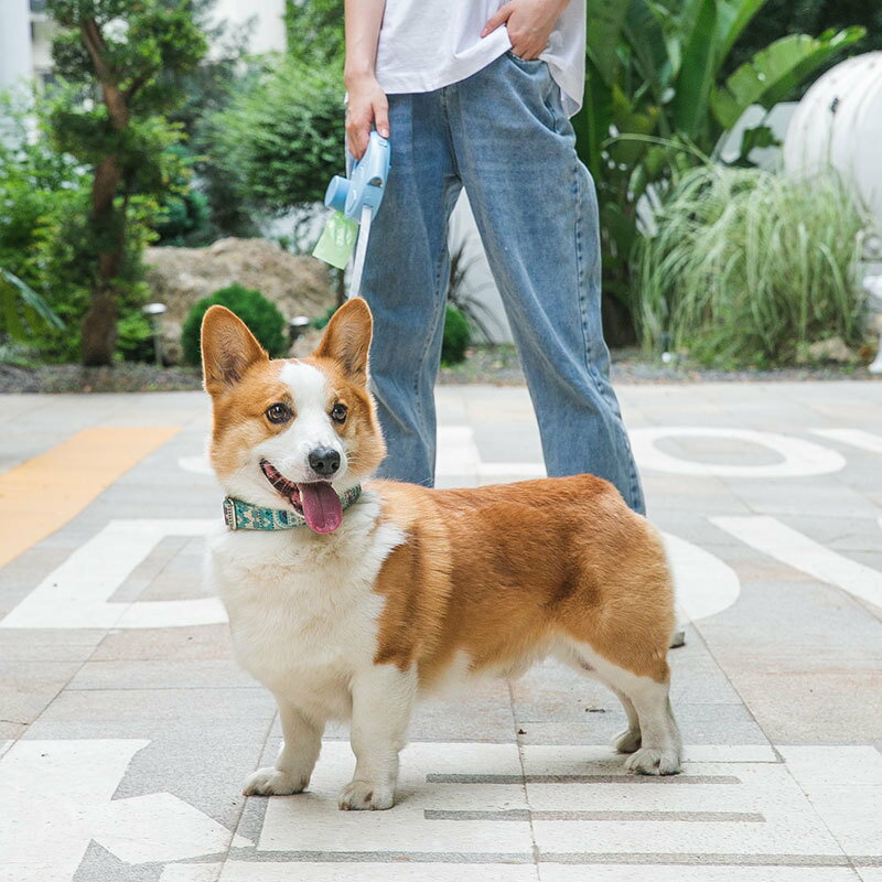 【優選百貨】狗狗牽引繩帶燈自動伸縮小型中型犬博美柯基狗鏈遛狗繩子寵物用品