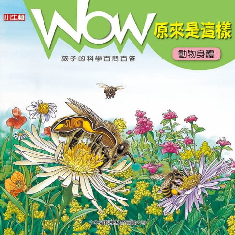【有聲書】WOW 原來是這樣：動物身體 0