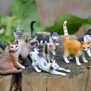 仿真動物野生農場動物模型實心玩偶擺件微景觀兒童玩具花盆小貓咪
