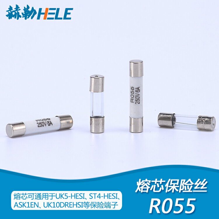 RO55陶瓷 5x20mm玻璃RO54保險絲管250V5*25保險端子熔芯熔斷