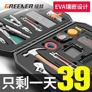 綠林工具套裝電工專用電訊工具組套家用多功能專業電子維修工具箱