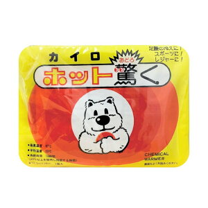 日本原裝進口小白熊暖暖包 -10入【綠洲藥局】