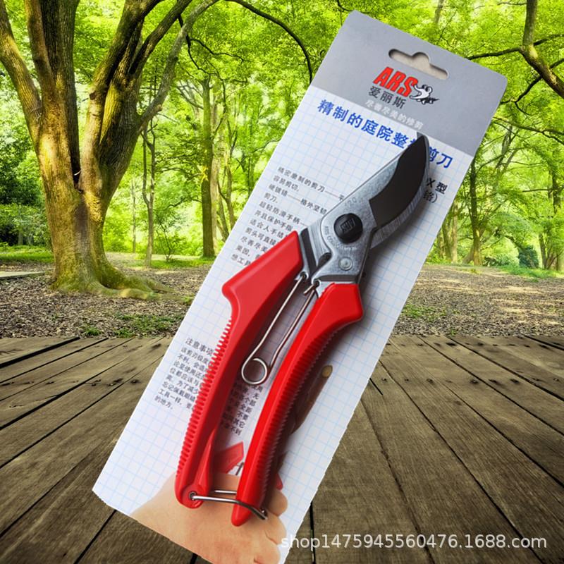 原裝120DX 果樹修剪工具 修枝剪 花枝花藝剪刀園林工具