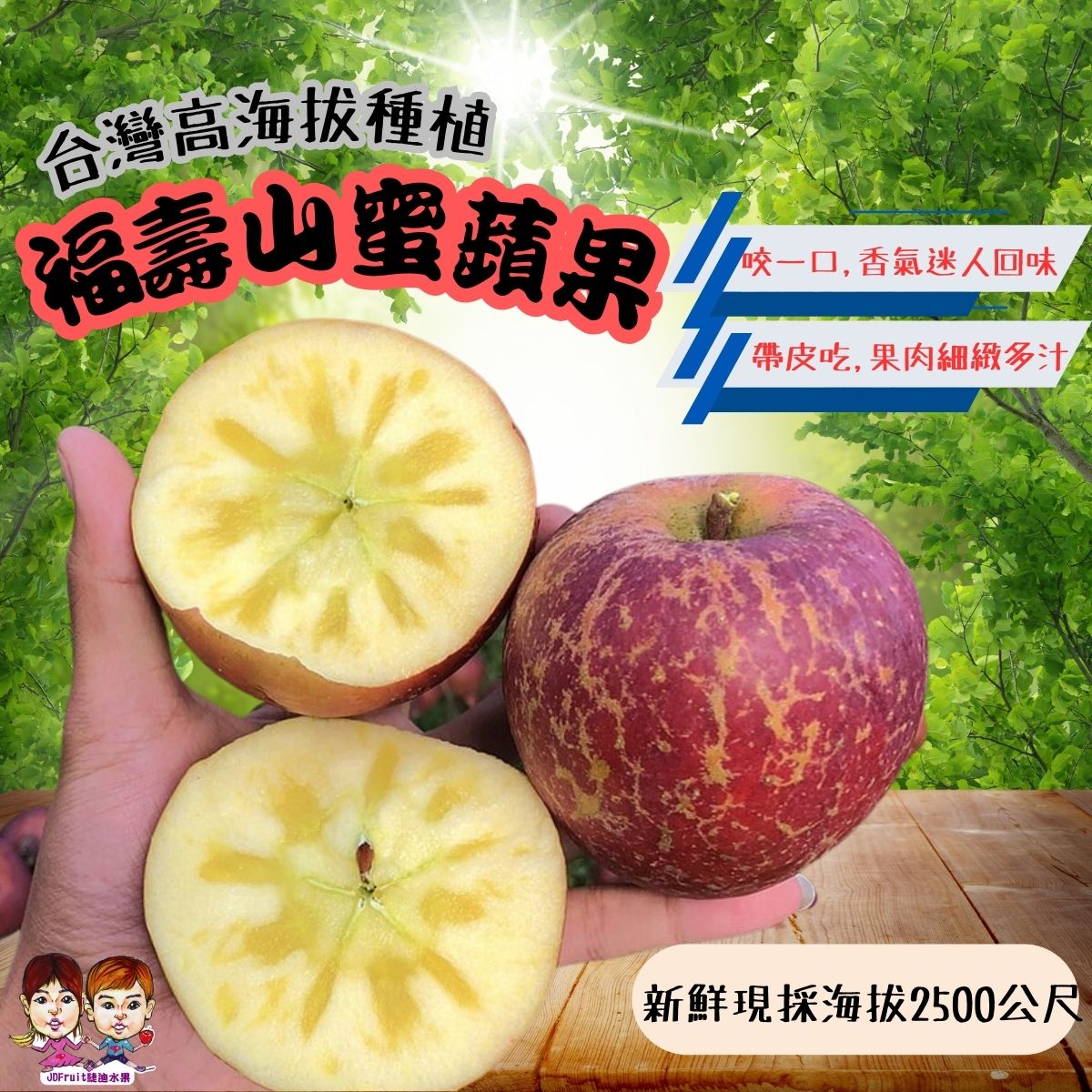 【緁迪水果JDFruit】台灣福壽山蜜蘋果(大果)4斤裝 不必山上 幫您直接採收下山 享受台灣蜜蘋果的好滋味