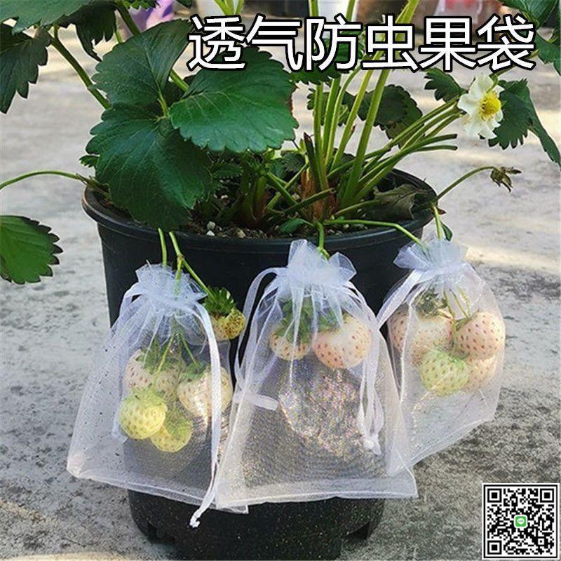 草莓套袋水果網袋透氣番茄藍莓葡萄無花果防蟲鳥果實保護袋防鳥罩-UM.有米家居