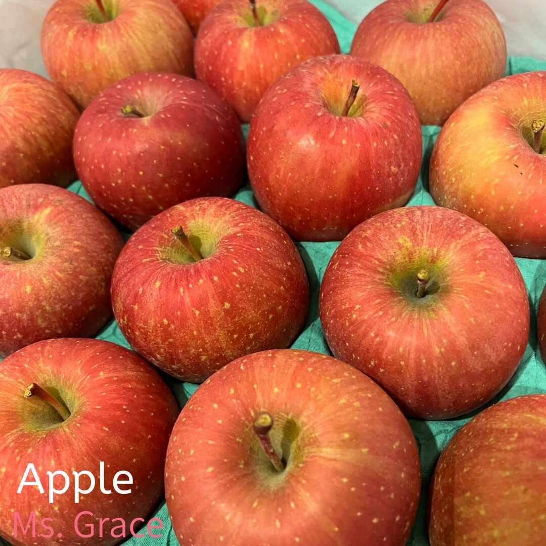十月預購 日本青森縣產 日本蜜蘋果 表皮無上臘 嚴選最高等級