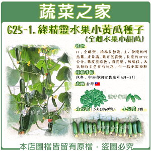【蔬菜之家】G25-1.綠精靈水果小黃瓜種子(全雌水果小胡瓜) 共有2種包裝可選