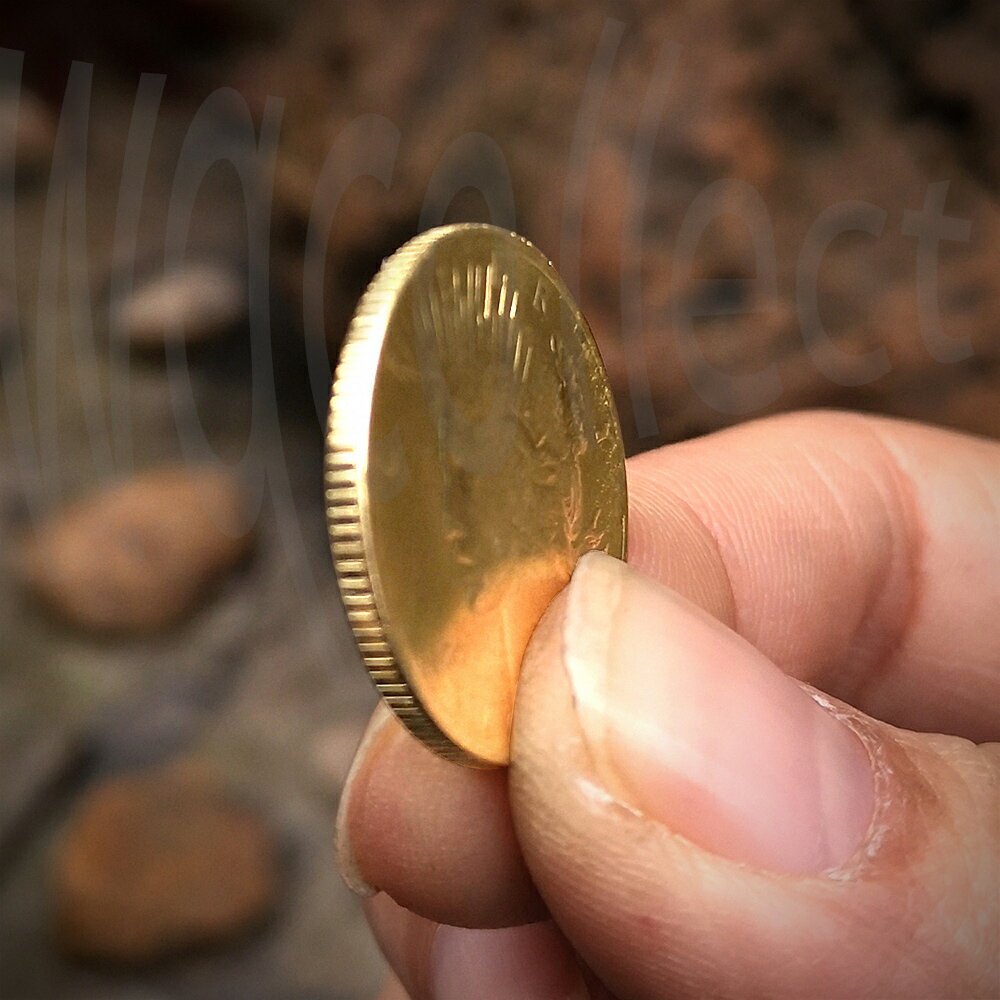 和平 硬币 1921 (97) 사진