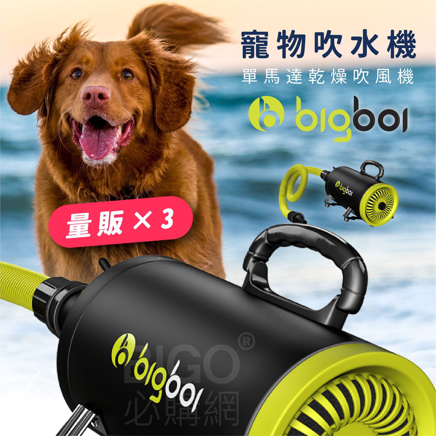 【量販3台】bigboi MINI 寵物單馬達吹風機 低噪音 寵物吹水機 吹風機 汽機車可用 恆溫設計 兩段溫控 現貨