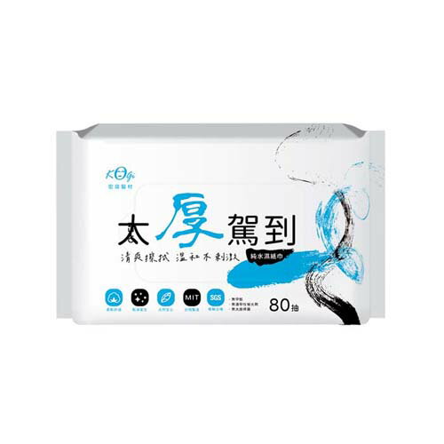 宏瑋太厚駕到濕巾80抽x40包(箱)【愛買】 2