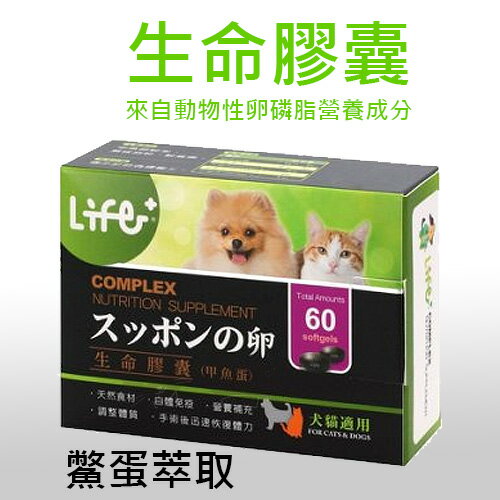 《虎揚科技》 Life生命膠囊 - 鱉丹 [動物性卵磷脂] / 爆毛新配方