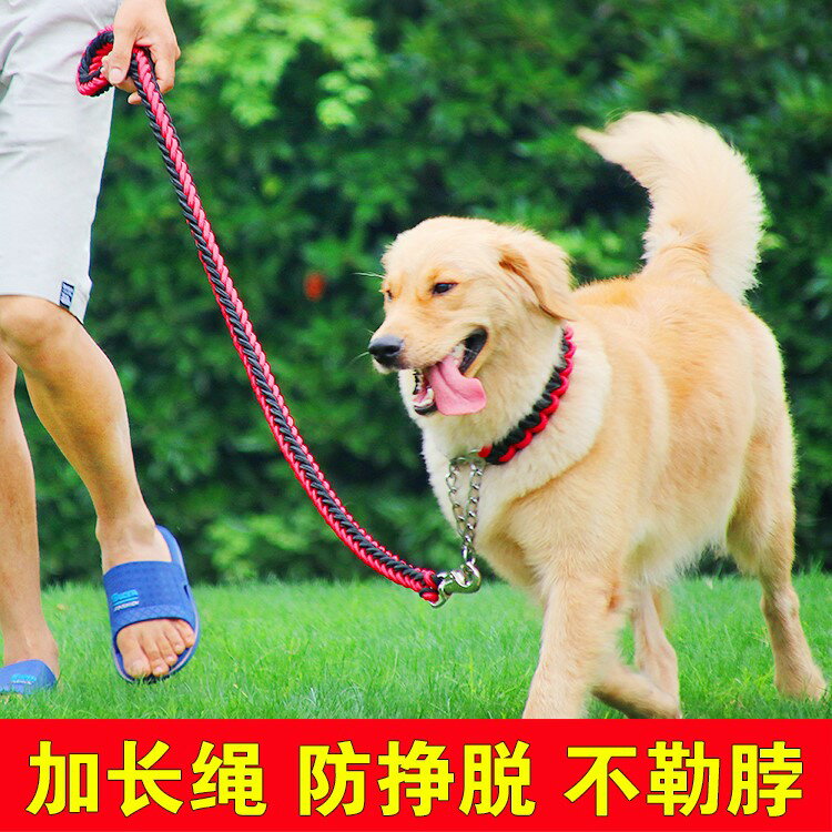 半p鏈狗k9項圈p鏈中型大型犬馬犬金毛拉布拉多防沖脖圈遛狗牽引繩