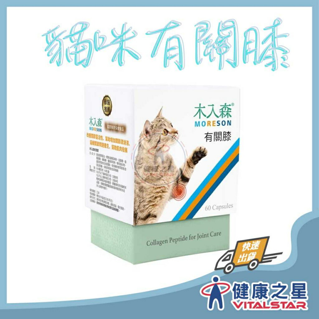 木入森 貓咪有關膝 盒裝 (60顆/30顆)｜貓咪關節保健
