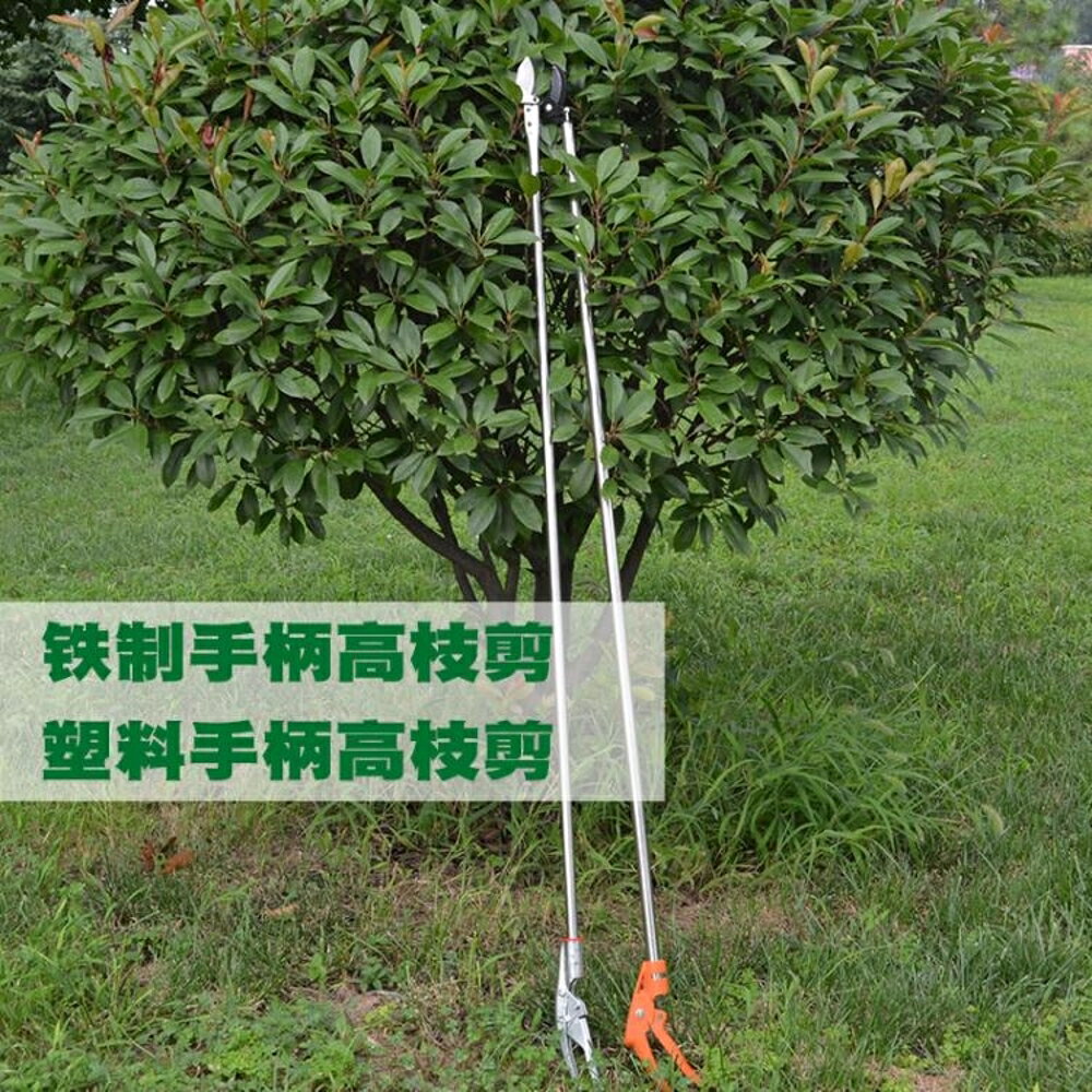 修剪刀剪不銹鋼果枝剪伸縮花剪刀園藝剪摘果剪高空鋸樹枝採果 LX 清涼一夏鉅惠