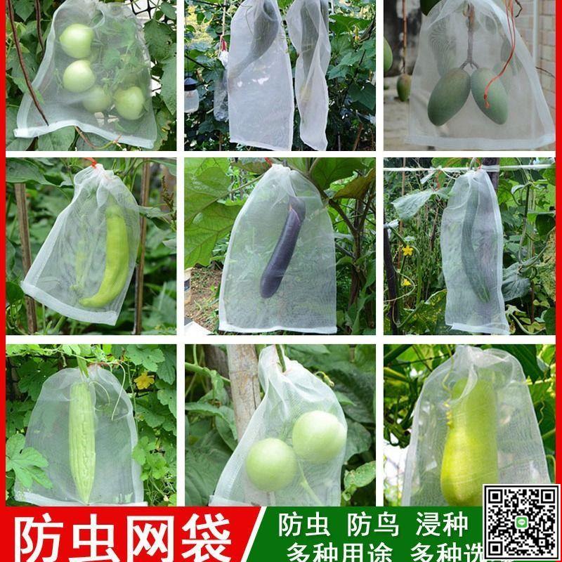 10個裝 防蟲網防蟲袋瓜果防果蠅防鳥袋濾網浸種子葡萄水果套袋-UM.有米家居