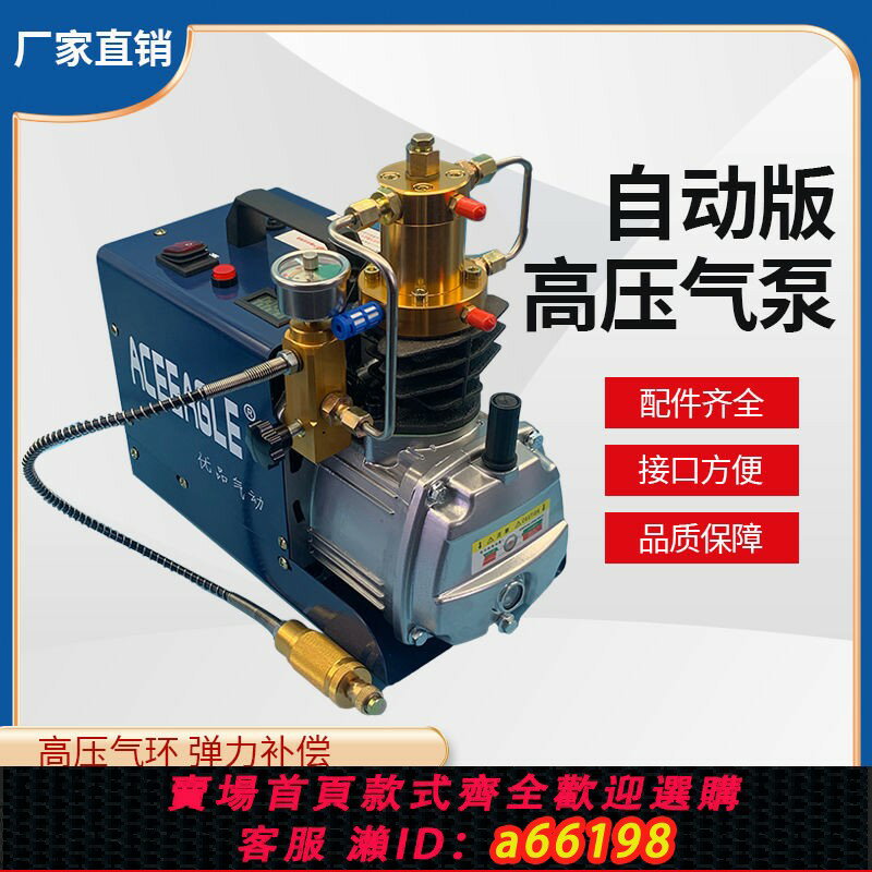 【臺灣公司 可開發票】德國進口優品高壓打氣機30mpa高壓氣泵40mpa小型單槓水冷電動自動