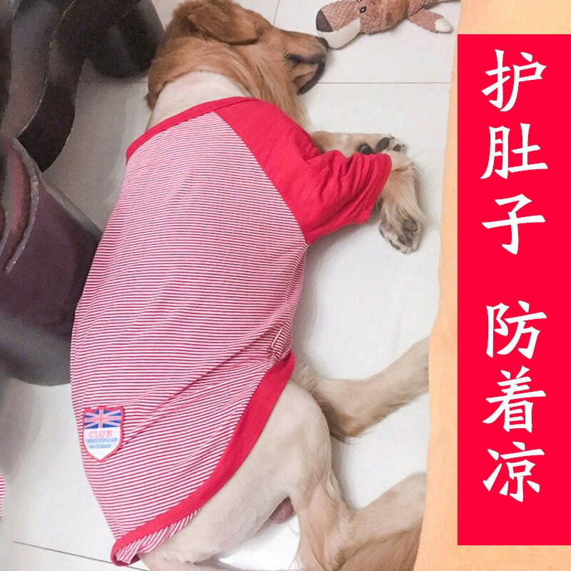 狗狗衣服薄款中型大型犬邊牧寵物背心夏季拉布拉多大狗金毛防掉毛