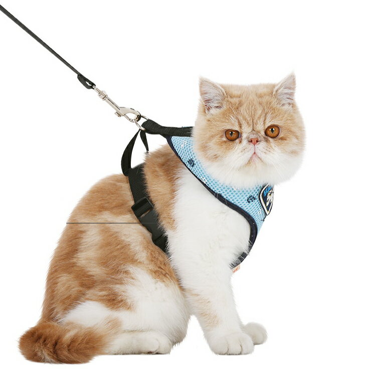 【可調節尺寸】遛貓繩 寵物外出防逃脫 貓咪胸背 帶鏈子 -S-M【AAA0536】