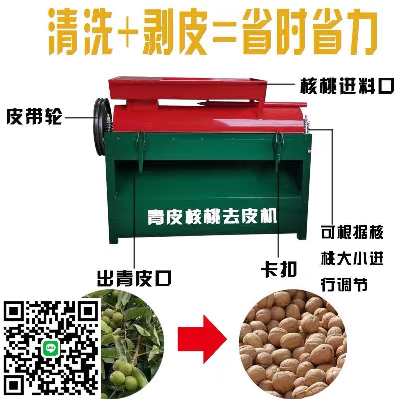 青核桃去皮清洗一體機商用全自動核桃剝皮機小型去核桃脫皮青皮機
