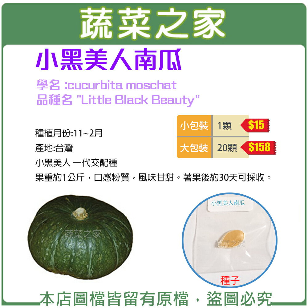 【蔬菜之家】G52.小黑美人南瓜種子(共2種包裝)