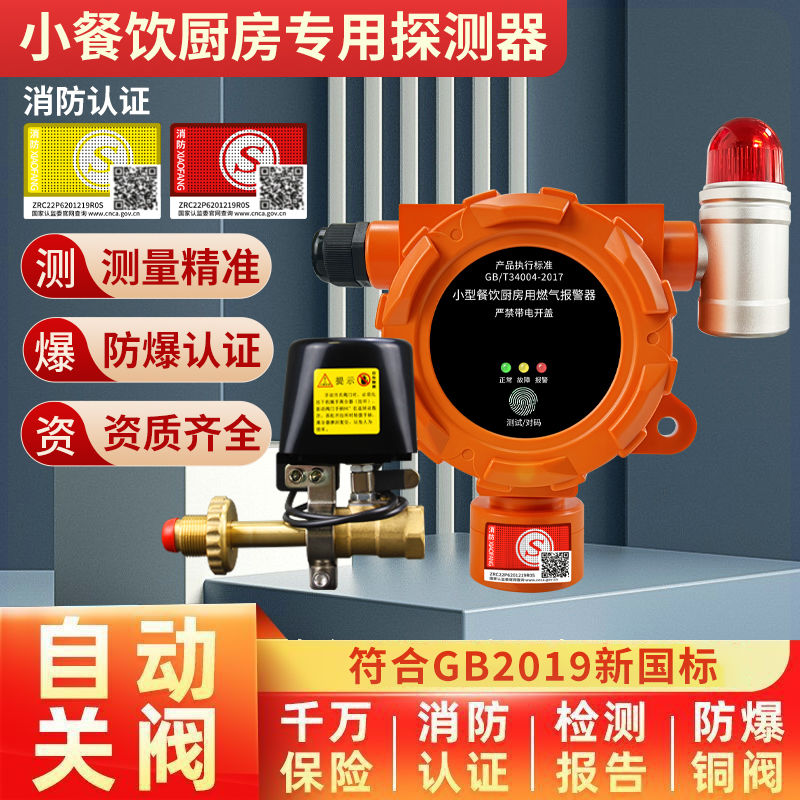 【最低價】【公司貨】可燃氣洩漏探測報警器商用工業餐飲飯店煤氣罐天然氣液化氣檢測儀