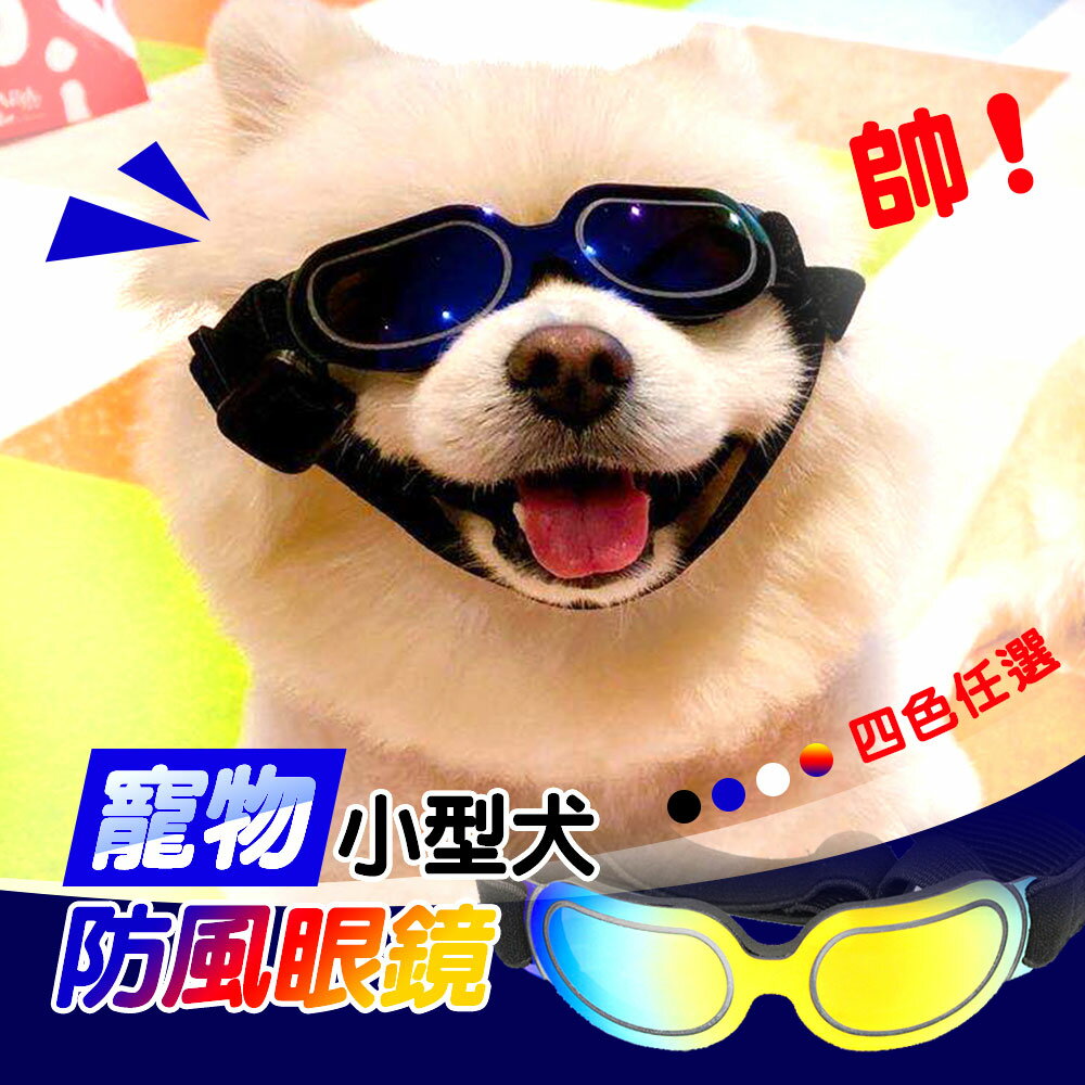 寵物眼鏡小型犬狗狗眼鏡防風防曬防紫外線防風眼鏡小狗眼鏡 A0032 福媽特選店 Rakuten樂天市場