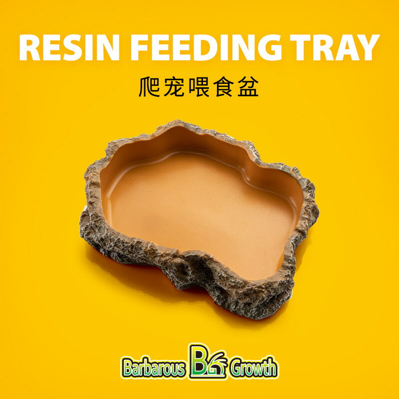 爬寵守宮蜥蜴烏龜角蛙爬蟲用品飼養箱投食夜光水碗寵物食盆樹脂