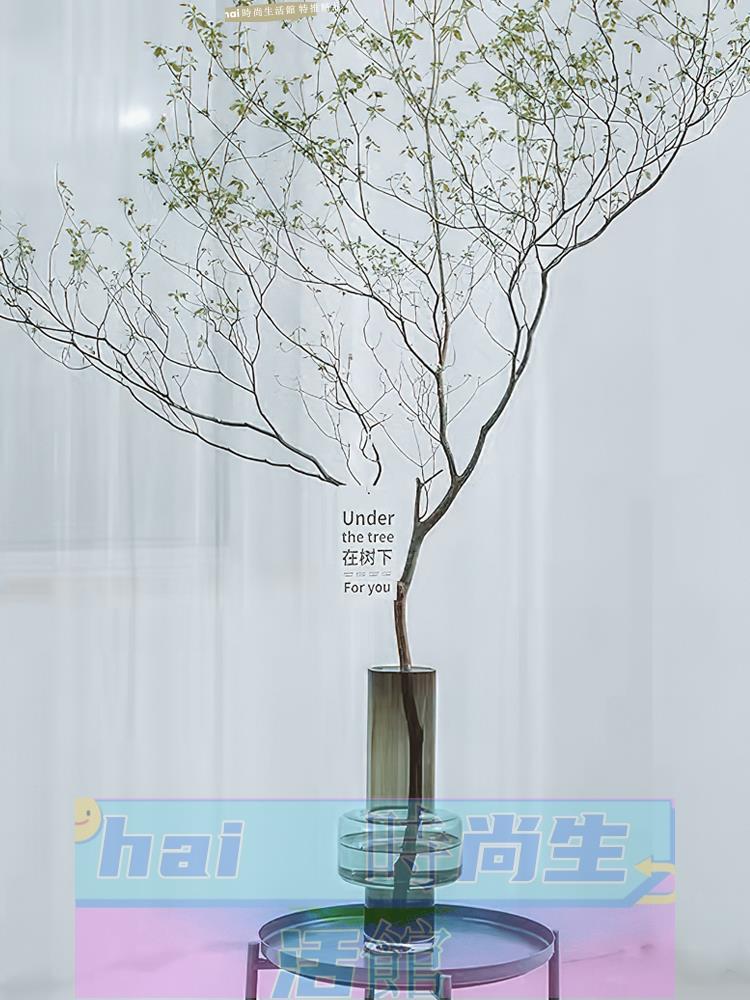 免運 可開發票 玻璃花瓶 吊鐘花瓶玻璃透明日本吊鐘樹植物瓶子高款插花長枝幹枝落地花器