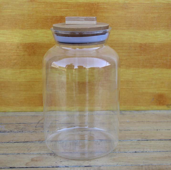微景觀玻璃瓶 苔蘚瓶 多肉植物花瓶 竹板塞密封罐茶葉
