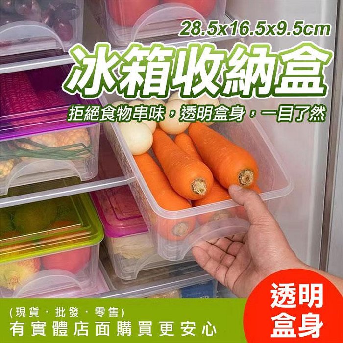 【現貨】收納盒 保鮮盒 冰箱收納盒 帶蓋冷藏盒 蔬果保鮮盒 透明保鮮盒 冷凍保鮮盒 密封保鮮盒 食物保鮮盒 密封盒 興雲網購