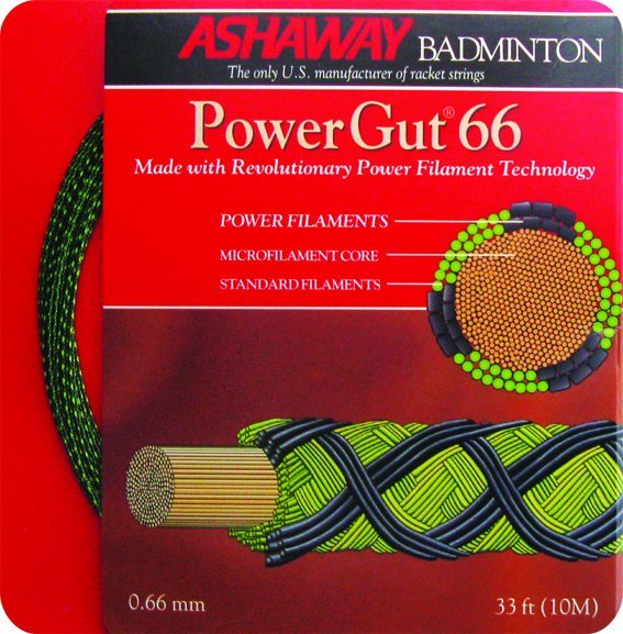 【H.Y SPORT】ASHAWAY POWERGUT 66 專業羽球線