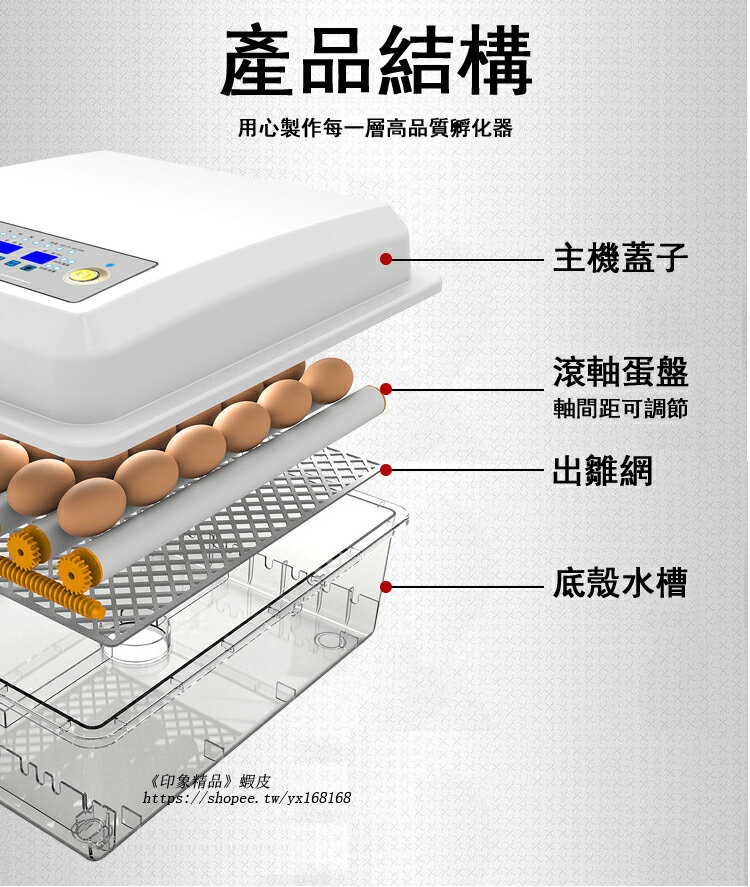 免運110V孵化機大容量家用全自動孵蛋器（帶溫度控制）全自動小雞雞蛋 