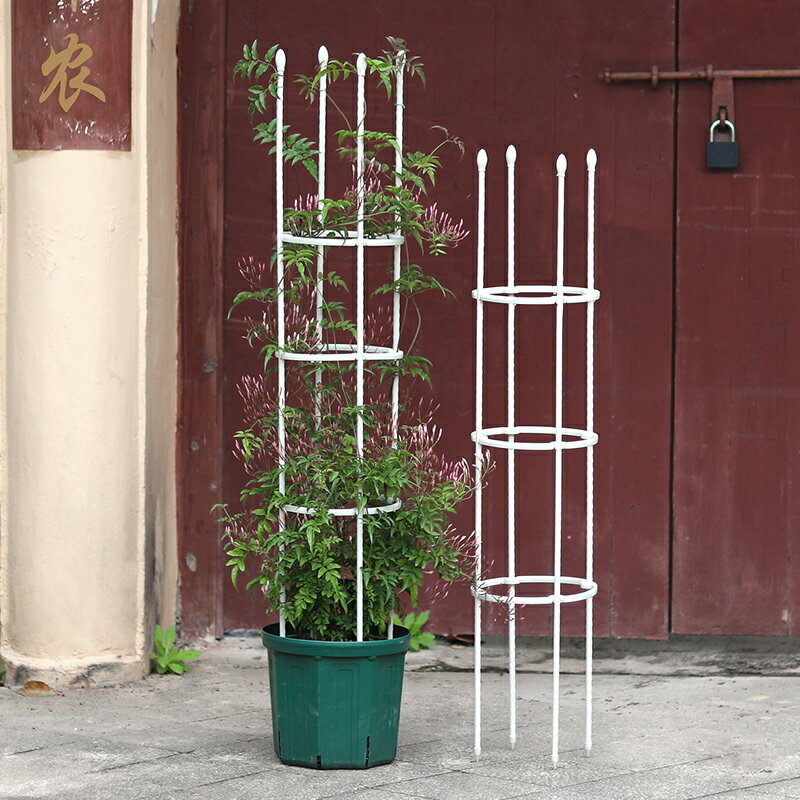 陽臺鐵藝爬藤花架月季鐵線蓮戶外花支架綠植支柱室內飄香藤支撐桿