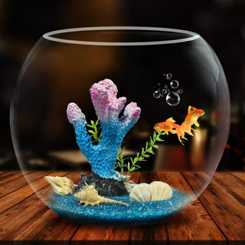 烏龜缸 魚缸生態圓形玻璃金魚缸烏龜缸桌面小型造景水培花瓶圓型小魚缸 0