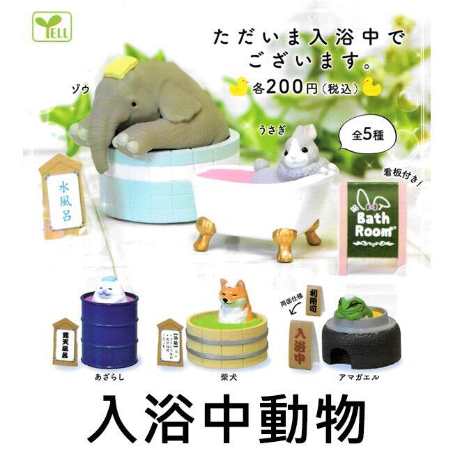 YELL 日版 轉蛋 扭蛋 入浴中動物 洗澡 泡澡 柴犬 大象 青蛙 兔子 全5種 整套販售