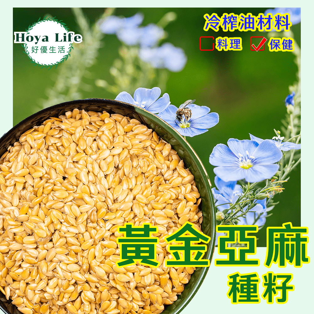 【種籽材料】黃金亞麻籽/500g(產地進口履歷安心購)~養生保健、料理、榨油