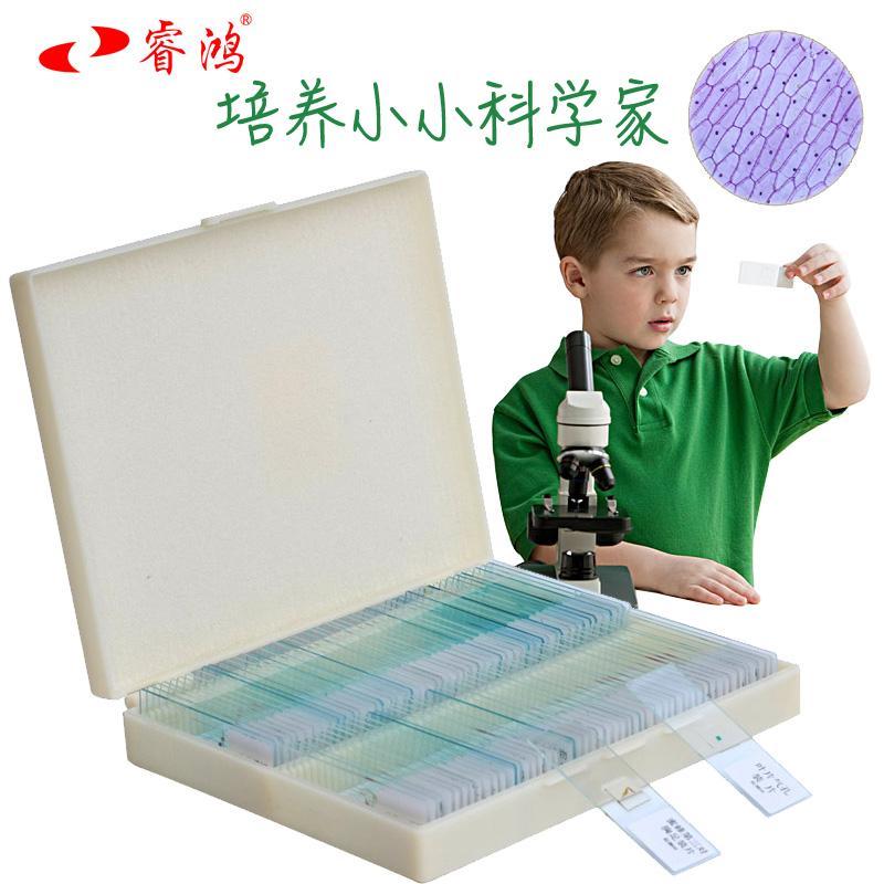【台灣公司 超低價】睿鴻生物顯微鏡標本切片動物植物細胞載玻片實驗學生小學科學新款 1