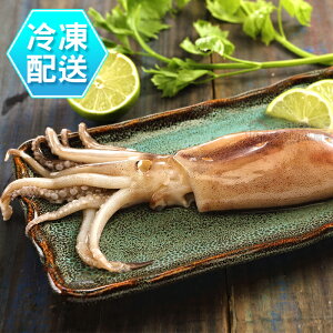 新鮮魷魚串200g 燒烤 冷凍配送[CO000136]千御國際