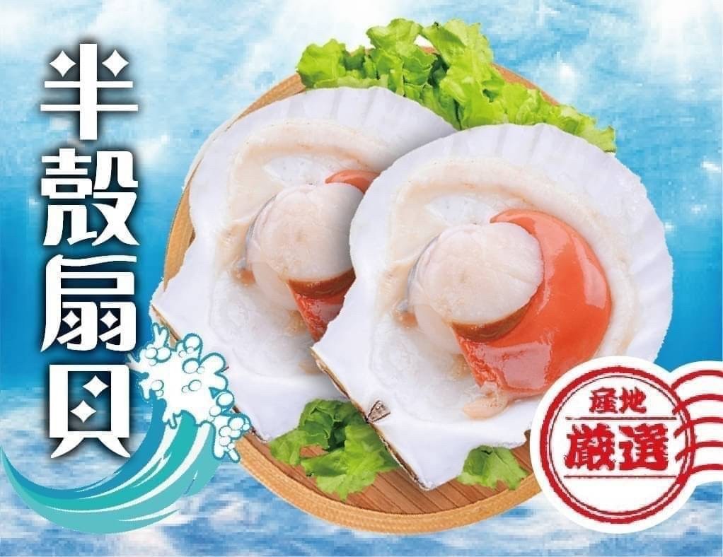 【海鮮肉舖】帶殼扇貝 (500g ±10%/盒)