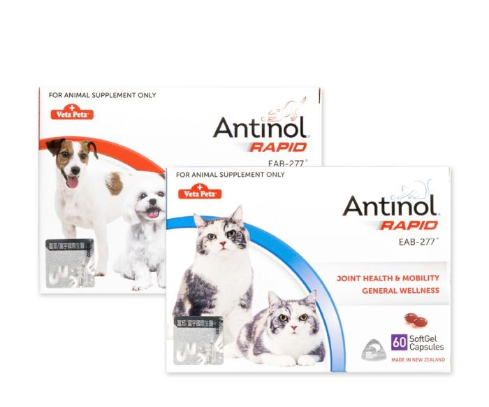 Antinol 安適得 酷版 60顆 雷標防偽 關節保養 關節保健 心臟 心血管保健 皮膚保健 魚油