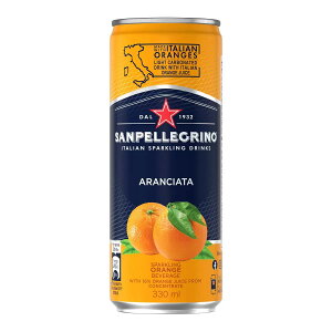 【10%點數回饋】San Pellegrino 聖沛黎洛 氣泡水果飲料 甜橙口味 330毫升 X 24罐