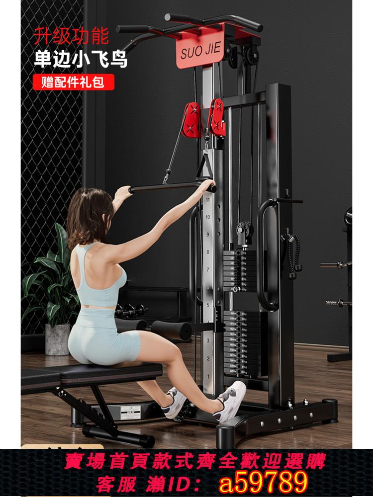 【臺灣公司 可打統編】單邊飛鳥龍門架家用小型力量健身夾胸多功能高低拉綜合訓練器劃船