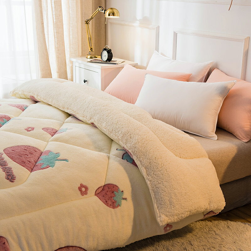 冬季毛毯被子加厚保暖珊瑚絨毯子冬用單人學生宿舍鋪床辦公室午睡