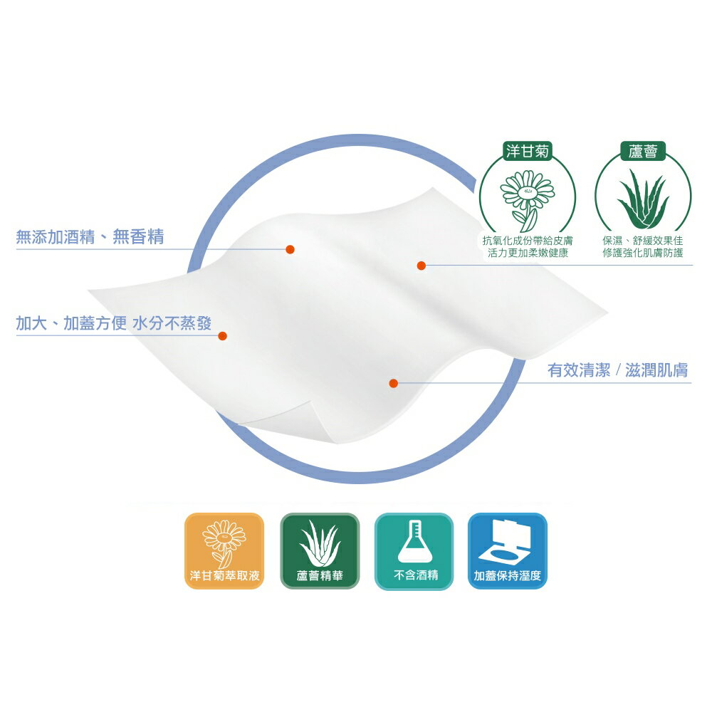 【安親】加大抑菌柔護濕巾-加蓋一般型(70抽x24包/箱)《安安好生活》 4