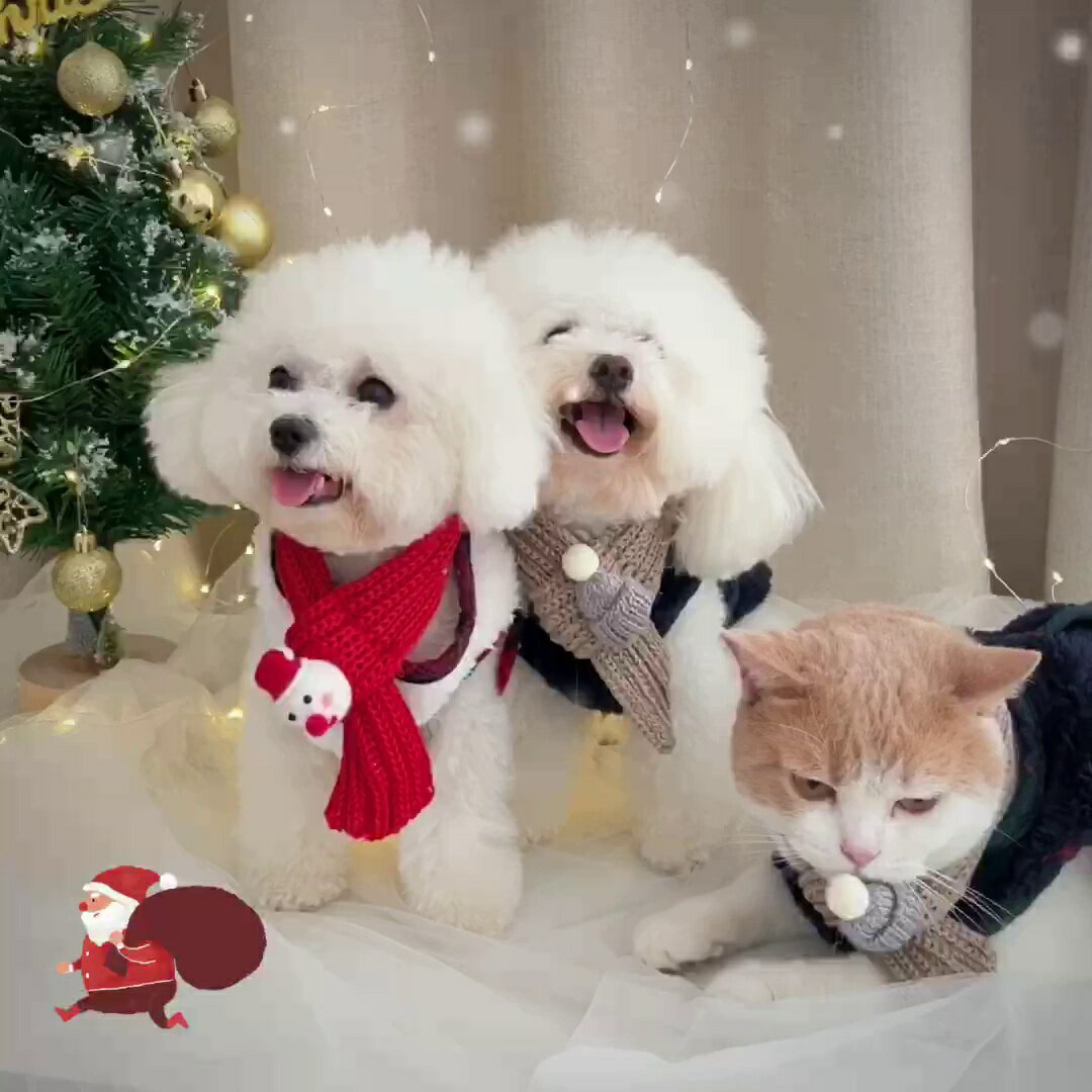 寵物衣服圣誕節裝扮送圍巾 狗狗兩腳馬甲 泰迪比熊加厚保暖貓咪棉衣【雲木雜貨】