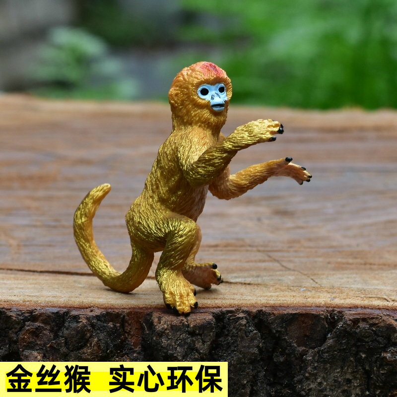 猴子金絲猴動物玩具實心模擬動物模型野生動物塑膠玩偶兒童玩具