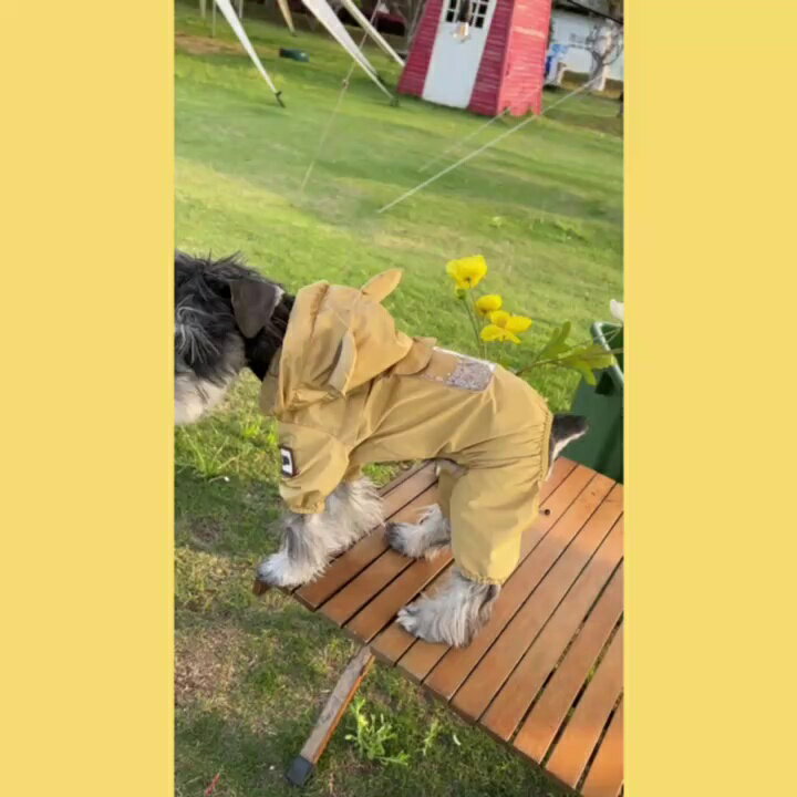春夏狗狗衣服防水四腳雨衣寵物雪納瑞博美泰迪比熊柴犬巴哥法斗貓