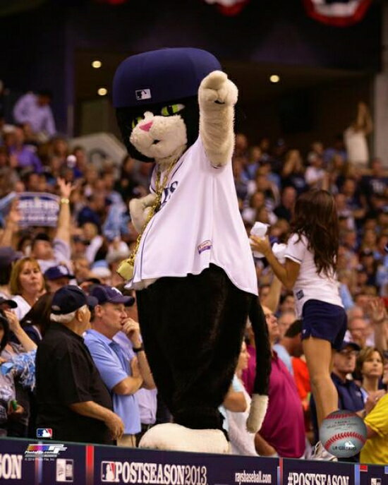 Posterazzi DJ Kitty Tampa Bay Rays Mascot Photo Print (16 x 20