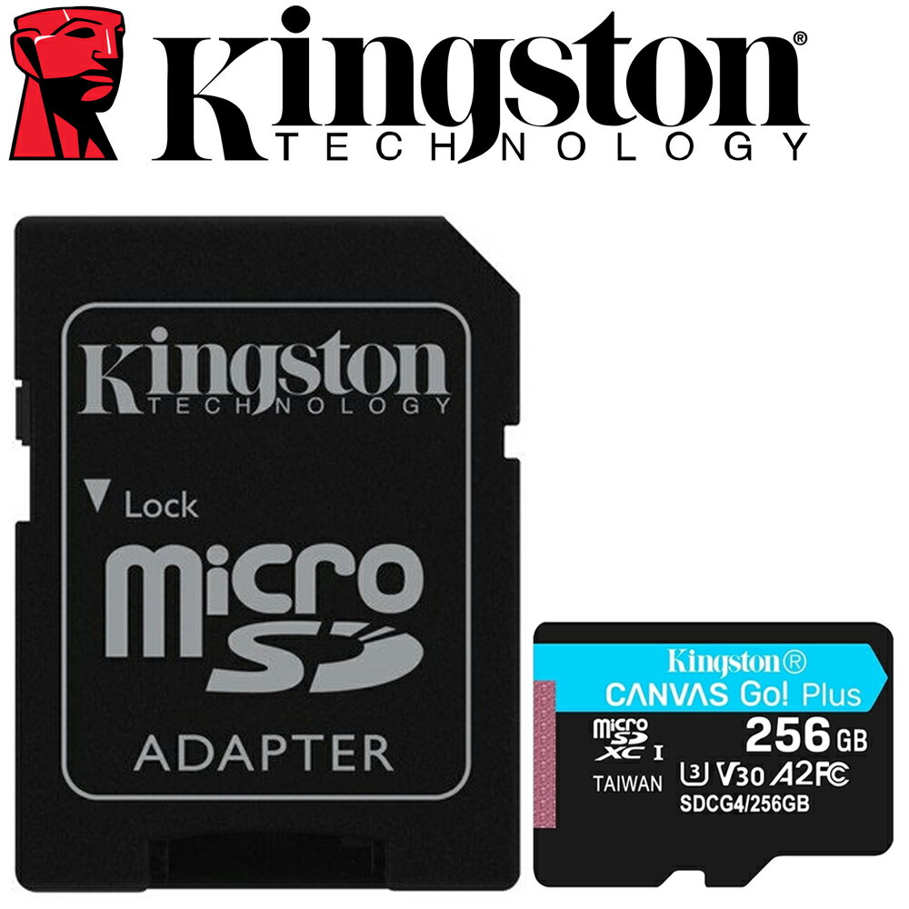 Kingston 金士頓 256GB microSDXC TF U3 V30 A2 記憶卡 SDCG4