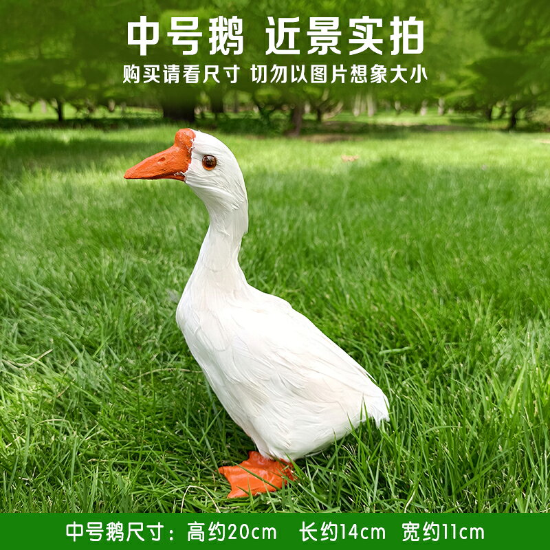仿真鵝模型動物標本大白鵝室內園林裝飾品鵝擺件攝影拍照道具鴨子 7
